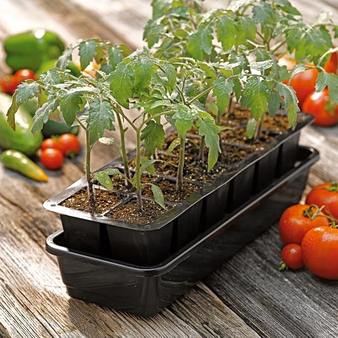 Gardener's Supply Company GrowEase Seed Starting Self Watering Tray |12-Cell Seedling Tray with Capillary Mat, Water Reservoir & Germination Dome | Indoor Greenhouse Gardening Kit