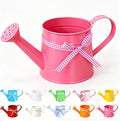 White Metal Watering Can 1 Gallon, Small Galvanized Steel Watering Can with Sprinkler Head for Indoor and Outdoor Plants, Vintage Decorative Gardening Tool (Rose Pink)