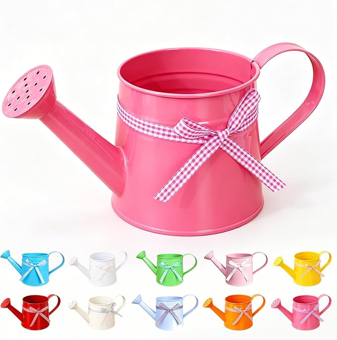 White Metal Watering Can 1 Gallon, Small Galvanized Steel Watering Can with Sprinkler Head for Indoor and Outdoor Plants, Vintage Decorative Gardening Tool (Rose Pink)