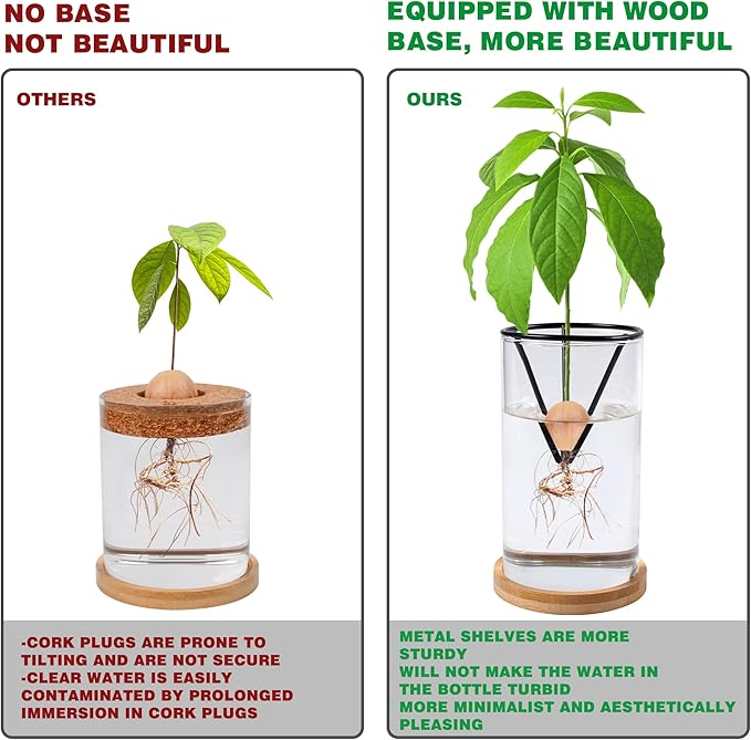 Avocado Tree Growing Kits, Avocado Growing Vase Wooden Base Avocado Seed Starter Vase Glass Plant Pot Easy Seed Sprout Starter Gift for Women Gardening Lovers Home Office Table Decoration