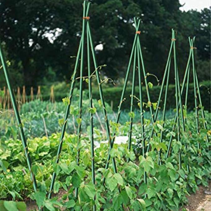 Growsun 6ft Tomato Stakes Plant Stake Supports Garden Fences Trellis Metal Plastic Coated Plant Cage Supports Climbing, Pack of 50