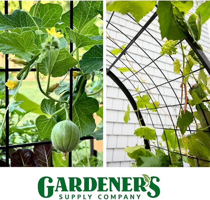 Gardener’s Supply Company Arch Trellis | Garden Arbor fits 2' x 4' Elevated Planter Boxes for Climbing Plants, Vegetables and Flowers | Decorative Outdoor Gardening Landscape