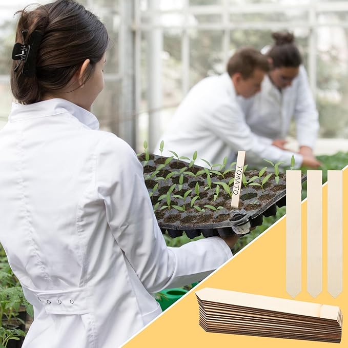 200 Pcs Wooden Plant Labels Bulk 6 Inch Plant Tags 2 pcs Waterproof Garden Markers Plant Markers Garden Labels Sticks Wooden Plant Sign Stakes Sticks for Seed Pot Herbs Flowers Vegetables