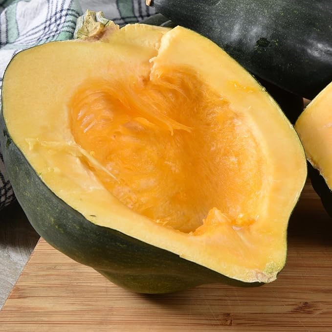 Seed Needs, Table King Acorn Winter Squash Seeds - 45 Heirloom Seeds for Planting Cucurbita Pepo - Non-GMO & Untreated Vegetable for an Outdoor Garden (1 Pack)