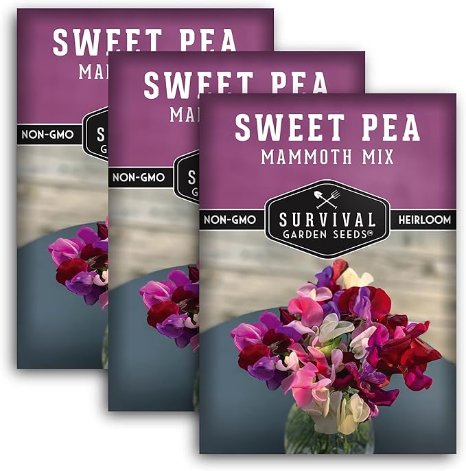 Mammoth Mix Sweet Pea Seeds for Planting – Heirloom Sweet Pea Variety with Giant Fragrant Flowers on Tall Climbing Vines for Trellises and Fences – Survival Garden Seeds (3 Packs)