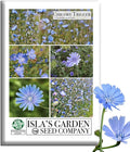 Trigger Chicory Flower Seeds (Cichorium intybus) – 1500+ Heirloom Non-GMO Seeds by Isla’s Garden Seeds, Blue Chicory Wildflower, Pollinator-Friendly Meadow Blooms, Naturalized Landscape Flower, Herb