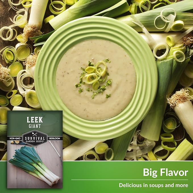 Survival Garden Seeds Giant Leek Seed for Planting - 1 Packet with Instructions to Plant and Grow Enormous Leeks in Your Home Vegetable Garden - Non-GMO Heirloom