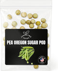 Pea Oregon Sugar Pod Seeds for Planting – 50+ Non-GMO Heirloom Snow Pea with Edible Flat Pods, Cool Season Vegetable, High Germination (Pisum sativum)