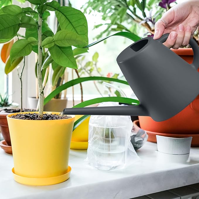 Indoor and Outdoor Watering Can - Long Spout -1/2 Gallon (64oz) - Black