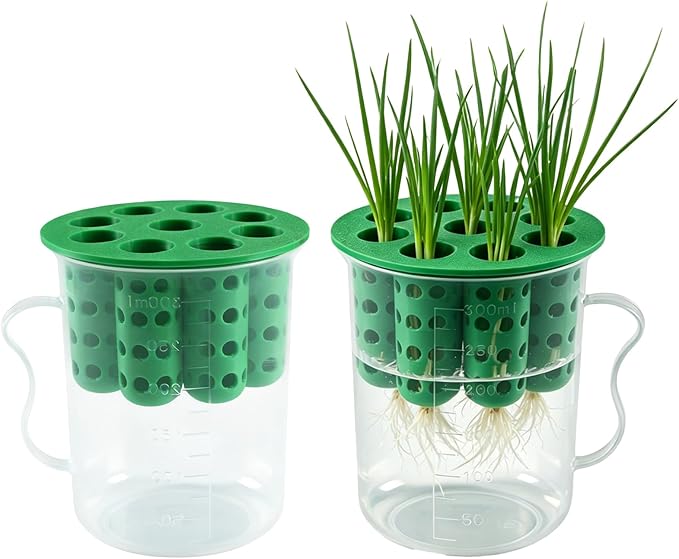 2Sets Green Onion Planter Scallion Grower Seed Sprouting Kit, 2 Green Onion Regrower Container and 2 Plastic Cups with Handle for Windowsill Garden Indoor Hydroponics Propagation Enthusiasts