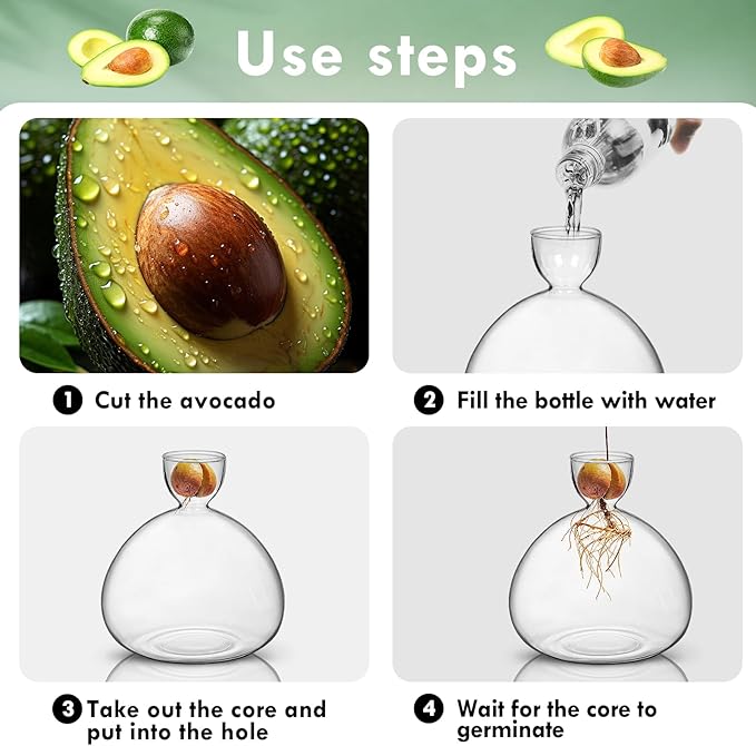 Large Avocado Vase Grow Glass Bulb Vases Acorn Seed Starter Vase Avocados Pit Planter Pot for Gardening Lover Indoor Hydroponics