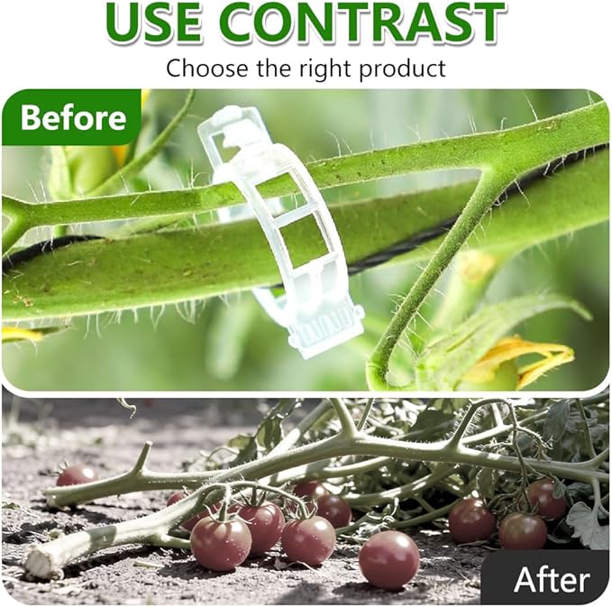 Plant Support Clips, Plastic Garden Fixing Clips for Climbing Plants Tomato Grape Vines, Greenhouse Garden Clips to Keep Plants Upright & Healthy (100, Green)