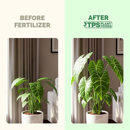 Elephant Ear Fertilizer – Liquid Plant Food for Bigger Leaves, Lush Growth & Stronger Roots, 32 oz