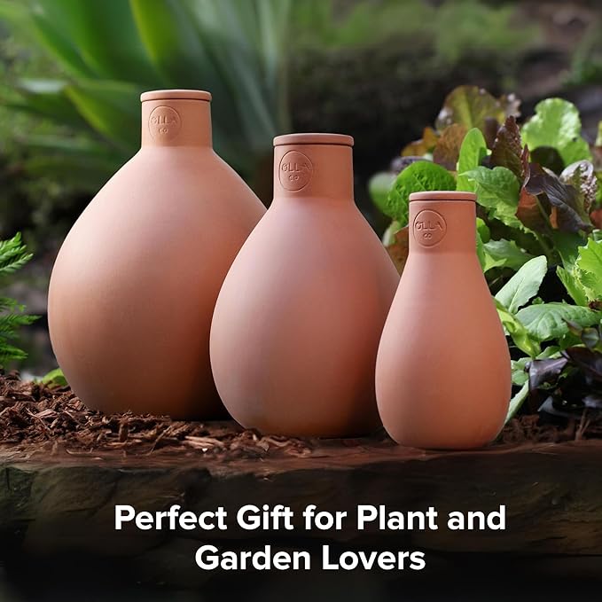 The Olla Company Classic Olla Watering Pot with Lid - Terracotta Self Watering Irrigation up to 3 ft in Diameter for Gardens, Raised Beds, and Large Pots - Vacation Friendly - Large