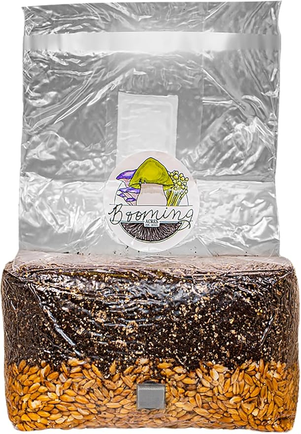 | The Magical 5lb All-in-One Mushroom Grow Bag | Mushroom Grow Kit | Harvest Your own Happiness | Discover The Magic of Growing Mushrooms - 5lb Grow Bag Mushroom Starter Kit