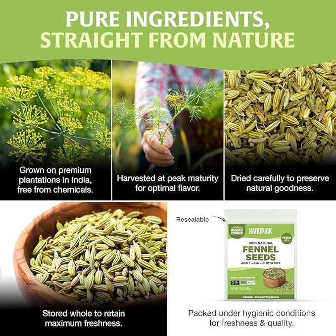 Fennel Seeds (397g/14oz) Tested for Quality | Raw Fennel Seed | Perfect for Cooking, Teas, Smoothies & Lattes | Bulk Whole Seeds in Resealable Zip Lock Pouch