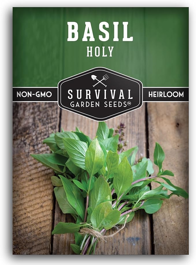 Holy Basil Seed for Planting - Indian Sacred Herb Tulsi Seeds to Grow in Your Home Vegetable Garden - Non-GMO Heirloom Variety - Survival Garden Seeds (1 Pack)