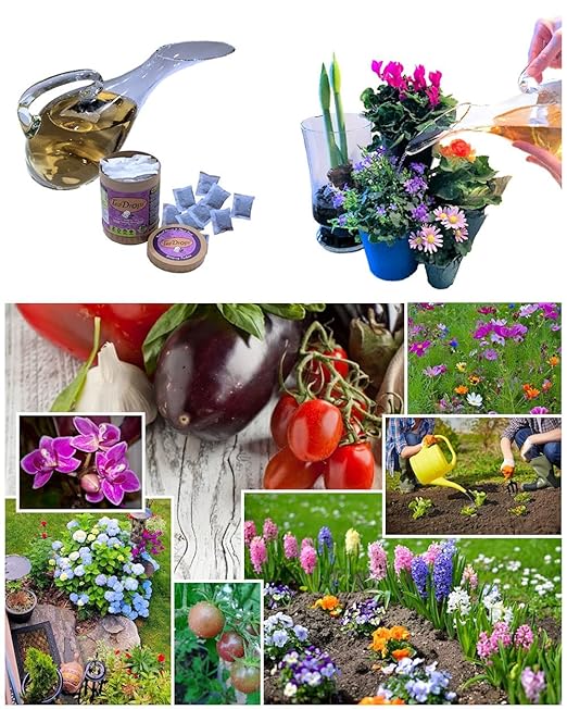TeaDrops Organic Seedling + New Planting + Transplant Fertilizer – 16 Liquid Indoor House Plant Food Packets – Make up to 32 Gallons (Easy use in Watering Can & Containers, Ecofriendly)
