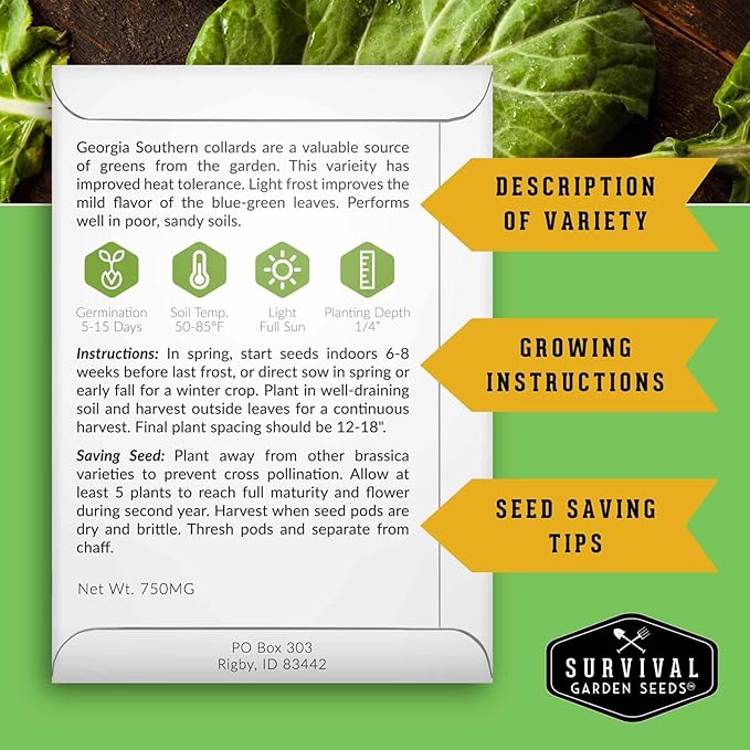 Collard Green Seeds for Planting | Georgia Southern Heirloom Non-GMO Variety | Leafy Greens for Home Vegetable Gardens - Survival Garden Seeds (3 Packs)