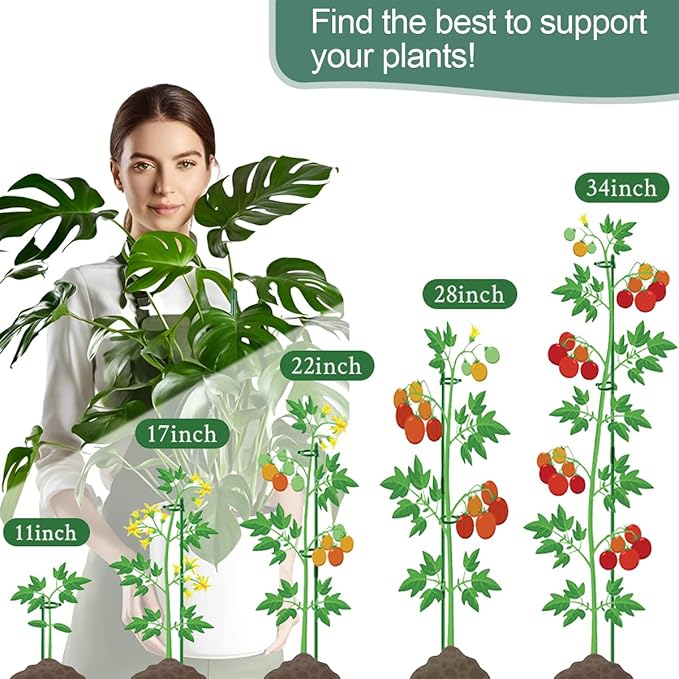 Plant Stakes,Adjustable Length Support Stake Orchid Stick with Ring Buckles Garden Pole for Potted Tomato Rose Amaryllis Beans Vegetables Comes with 40-inch Ties (Green, 17inch&12inch)
