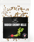 Radish Cherry Belle Seeds for Planting – 200+ Heirloom Non-GMO, Round Red Radish Variety for Spring & Fall Gardens, High Germination (Raphanus sativus)