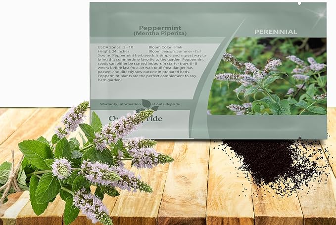 Outsidepride Peppermint Seeds for Planting - 1000 Pcs Perennial Compact Growth, Easy to Grow Herb Seeds w/Aromatic Foliage for Culinary Uses, Herbal Remedies & Wellness, Ideal for Container Gardening
