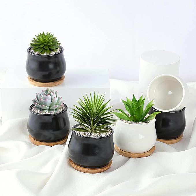 SHECIPIN 2 Pack Succulent Pots, 2.5 Inch Mini Ceramic Pots for Flower or Cactus Plants with Drainage Hole,Plants Not Included (Black)