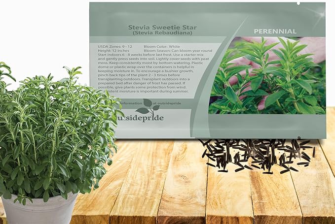 Outsidepride Stevia Sweetie Star Seeds - 25 Pcs. Perennial, Versatile & Low Maintenance, Herb Seeds for Planting Tender & Sweet Leaves, Great for Culinary Creations, Tea Blends, and Homemade Recipes