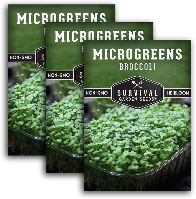 Broccoli Microgreen Seeds for Planting - Non-GMO Heirloom Broccoli Seeds to Grow Microgreens - Indoors or Hydroponic - Fast Sprouting, Nutrient Dense - Survival Garden Seeds (3 Packs)