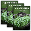Broccoli Microgreen Seeds for Planting - Non-GMO Heirloom Broccoli Seeds to Grow Microgreens - Indoors or Hydroponic - Fast Sprouting, Nutrient Dense - Survival Garden Seeds (3 Packs)