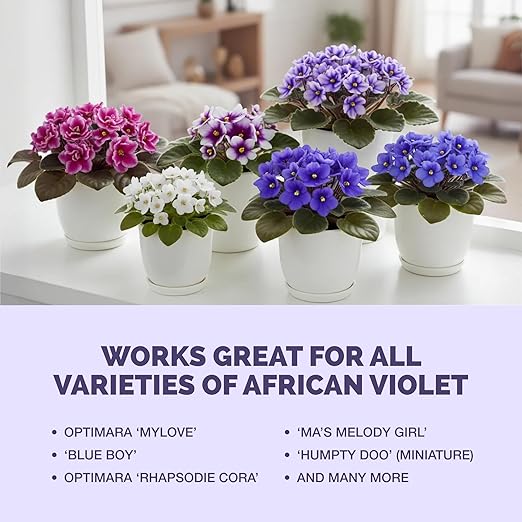 African Violet Fertilizer – Liquid Plant Food for More Blooms, Rich Green Leaves & Healthy Root Development, 8 oz