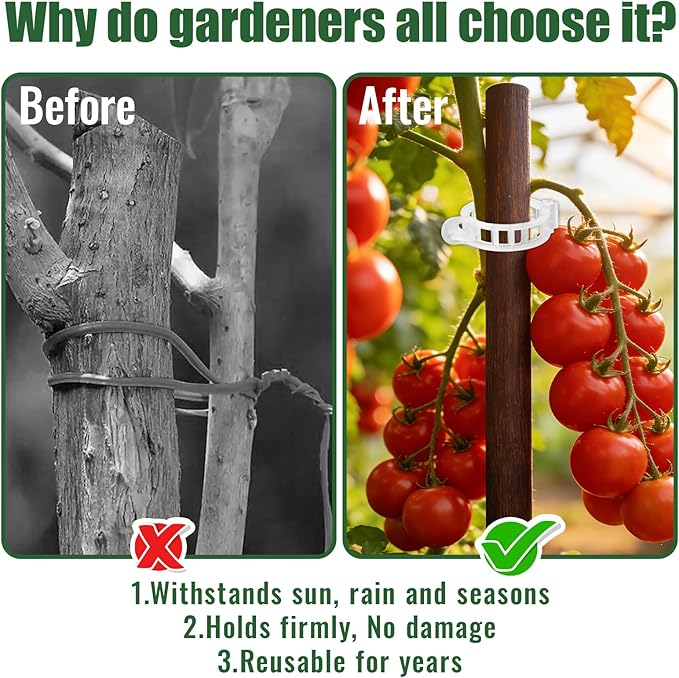 300Pcs Thickened Tomato Clips, Plastic Trellis Clips for Grape Vine, Tomato Vine, Vegetable Plants, Plant Support Clips to Help Plants Grow Upright & Healthier