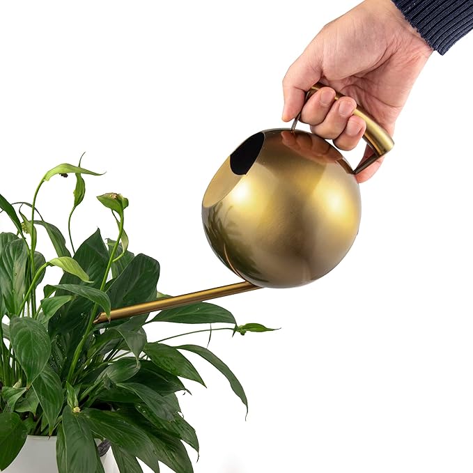 IMEEA Watering Can for Indoor Plants 45oz/1.3L Stainless Steel Small Indoor Watering Can House Plants