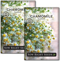 Sow Right Seeds - German Chamomile Seeds for Planting - Non-GMO Heirloom Packet with Instructions to Grow Herbal Tea - Medicinal & Aromatic Flower, Home Remedies - Small Daisy-Like Blooms (2)