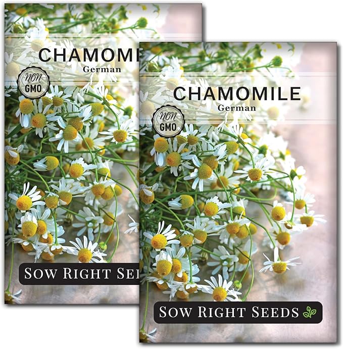 Sow Right Seeds - German Chamomile Seeds for Planting - Non-GMO Heirloom Packet with Instructions to Grow Herbal Tea - Medicinal & Aromatic Flower, Home Remedies - Small Daisy-Like Blooms (2)
