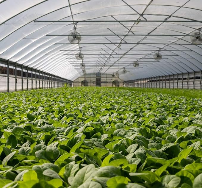 Garden Netting Pest Barrier: 8'x10' Fine Bug Netting for Garden Protection Row Cover Raised Bed Screen Mesh Greenhouse Mosquito Net, Protecting Tree Plants Vegetable Flowers Fruits