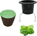 3 Inches Preseeded Herb Seeds Starter Plug for Hydroponic Applications,Seeds Starter Sponge Pod Replacement for Hydroponic Garden kit (Oregano)