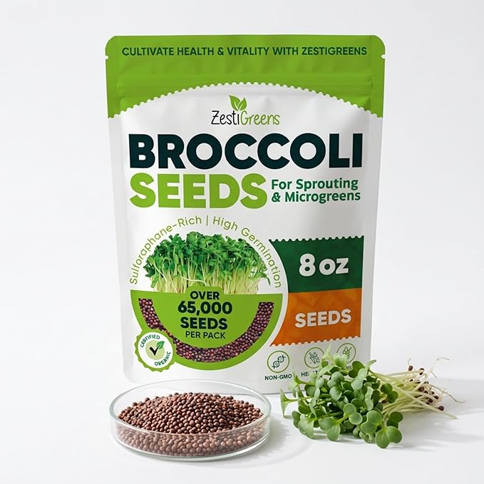 Broccoli Sprouting & Microgreens Seeds - 8oz. Organic, Non-GMO, Heirloom Sprout Seeds Come in Food Grade Colorful Container with Lid for Easier Scooping & Keeping Fresher
