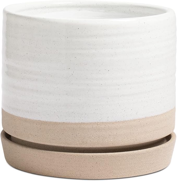 HERDUK 8 Inch Pots for Plants, Ceramic Planter Pot with Drainage Hole & Saucer, Indoor or Outdoor Cylinder Round Planter Pot, Matte White & Beige