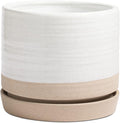 HERDUK 8 Inch Pots for Plants, Ceramic Planter Pot with Drainage Hole & Saucer, Indoor or Outdoor Cylinder Round Planter Pot, Matte White & Beige