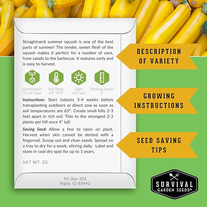 Survival Garden Seeds - Straightneck Summer Squash Seed for Planting - 5 Packets with Instructions to Plant and Grow Yellow Squash in Your Home Vegetable Garden - Non-GMO Heirloom Variety