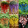 310+ Mix Hanging crabapple Hosta Flower Seeds for Planting-Climbing Vines-Non-GMO Heirloom Plant Seeds Garden Outdoor