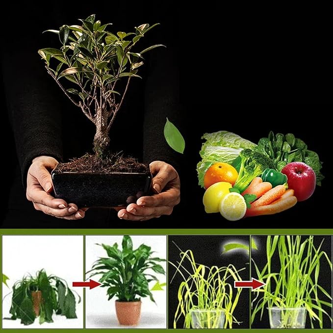 Soil Pro Activator, 280g/9.87oz Soil Activator for Plants & Gardens, Soils Conditioner, revitalizer & Restorer, Enhance Growth for Vegetables & All Plants (1PCS)