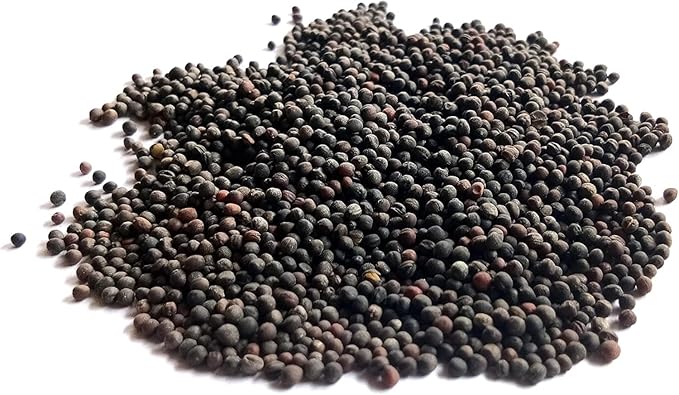 Di Cicco Organic Broccoli Seeds for Growing Microgreens – Heirloom, Non GMO Seeds to Plant & Grow Organic Broccoli in Home Indoor Hydroponic Gardens – Great Gardening Gift (1/2 Pound)