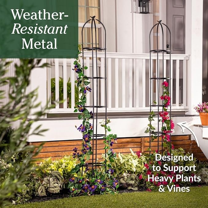 Evergreen Metal Garden Obelisk Trellis for Climbing Plants Outdoor, Indoor Plant Trellis for Potted Plants, Floral Pattern Arch Trellis (Black, 7 ft. Round, Set of 2)