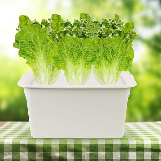 Hydroponics Grower Kit DIY Self Watering Indoor Hydroponics Tools Hydroponic System Planting Container Include Aquarium Air Pump Buoy Planting Box
