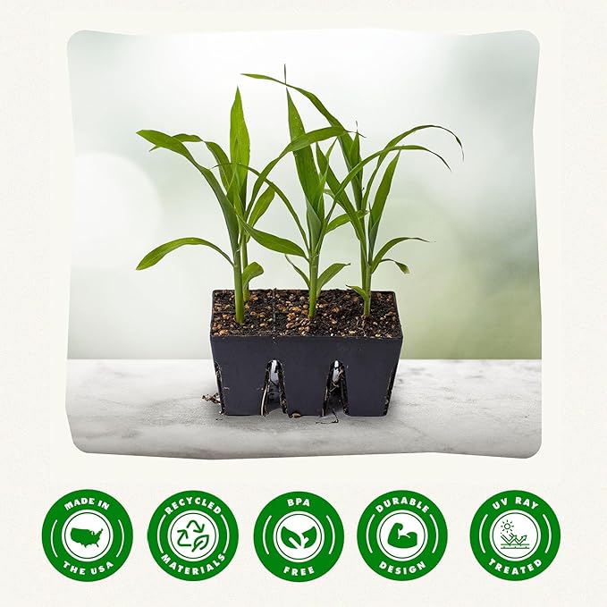 Epic Gardening Reusable Seed Starter Tray - 6 Cell/120 Seedling Starter Trays - Easy Watering, Indoor Greenhouse, Plant Starter, Gardener-Friendly for Seedlings | UV-Treated & BPA-Free - Black