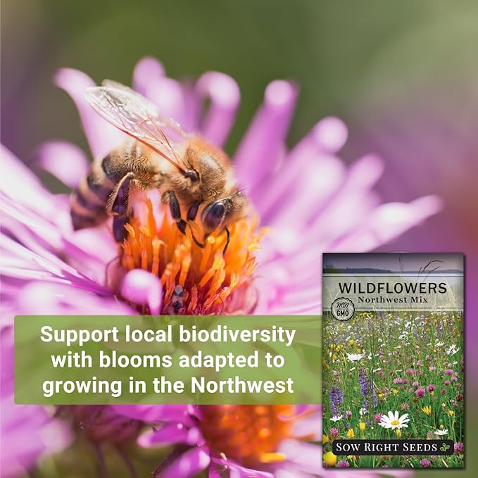 Sow Right Seeds - Wildflowers Seeds Mix for Planting in Northwest - Non-GMO Heirloom Varieties to Grow a Wild Flower Garden - Perennial and Annual Flowers to Attract Pollinators - Colorful Blooms (1)