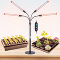 FECiDA 2026 4Head Table Top Grow Lights for Seed Starting, Indoor Plants, Bonsai, 36 Watt Power Draw, NO Need Adapter, 4/8/12/16/20H Timer, 16"-24" Height Adjustable