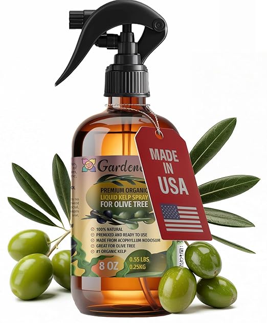 GARDENERA Professional Organic Liquid Kelp Spray for Olive Tree Plants - 8 oz - Ready-to-Use Fully Organic Seaweed & Kelp Fertilizer Mist